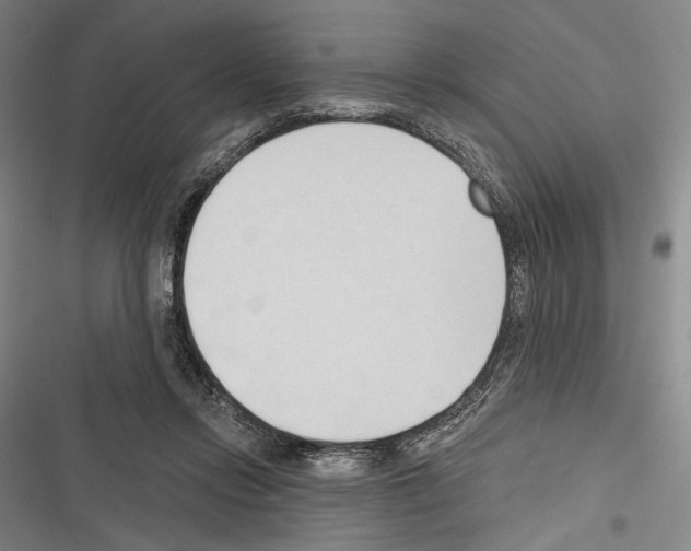 X0000116320358201001131008