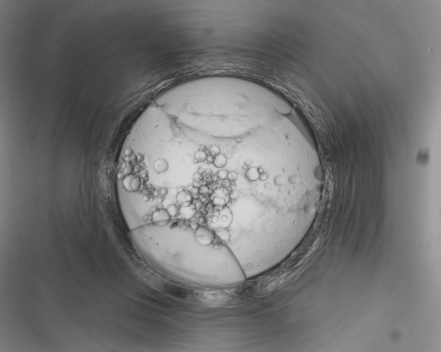 X0000116320359201001131008