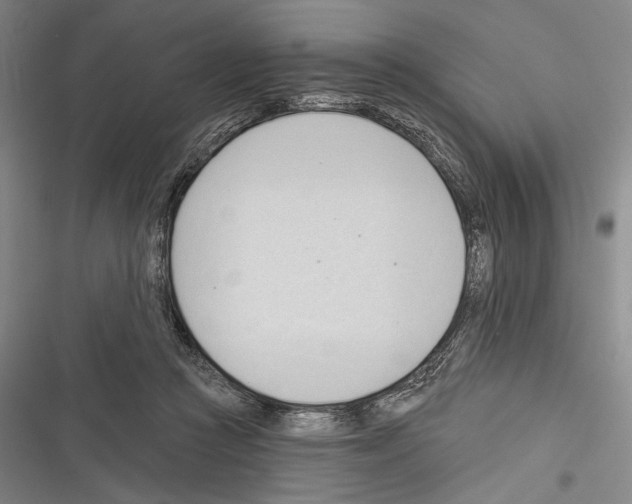 X0000116320361201001131008