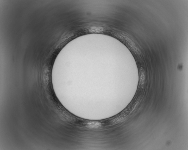 X0000116320363201001131008