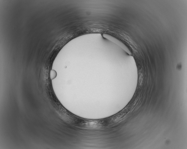 X0000116320365201001131008