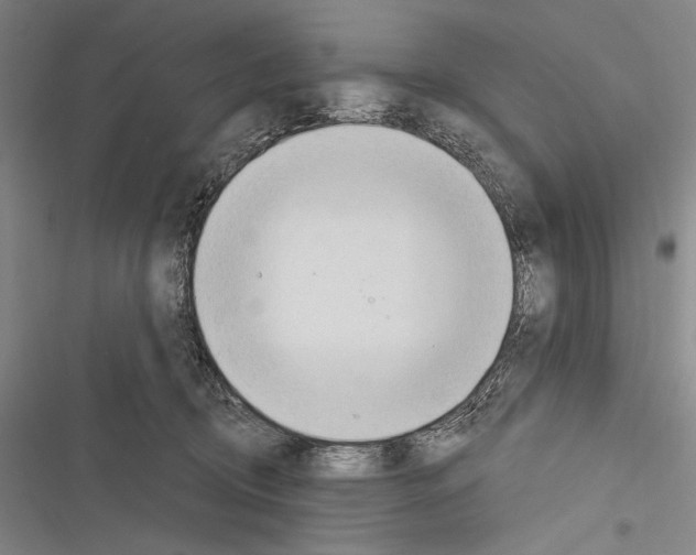 X0000116320370201001131008