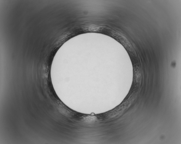 X0000116320374201001131008