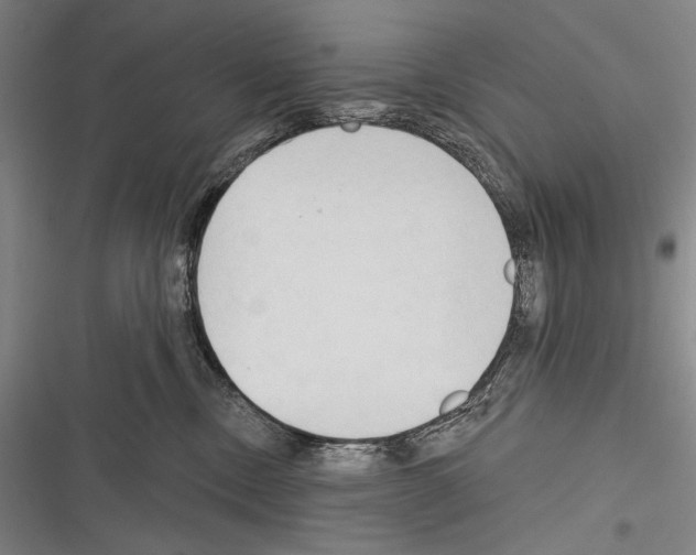 X0000116320378201001131008