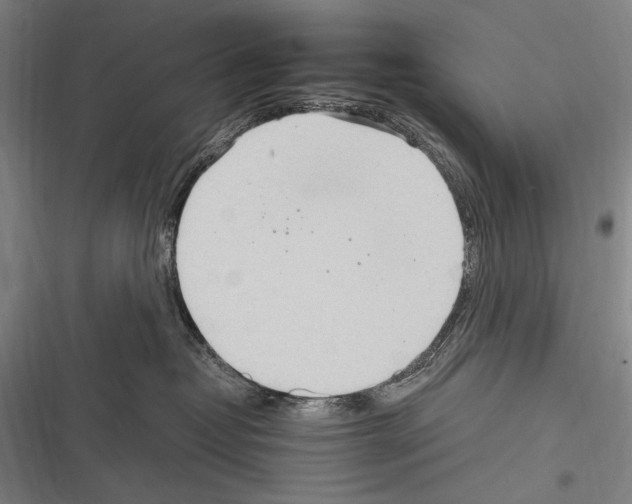 X0000116320382201001131008