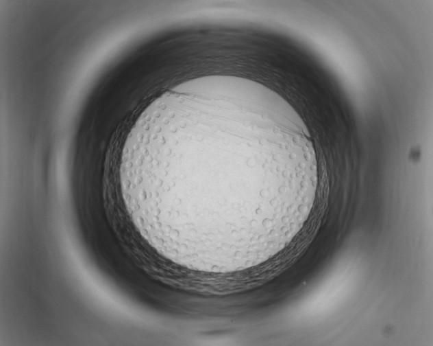 X0000116320383201001131008