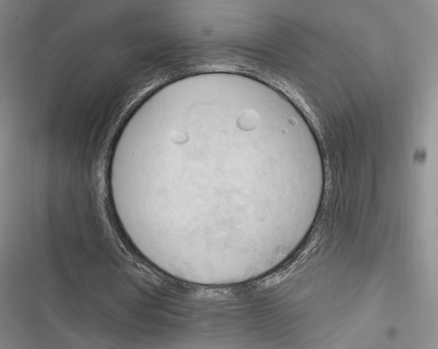 X0000116320386201001131008