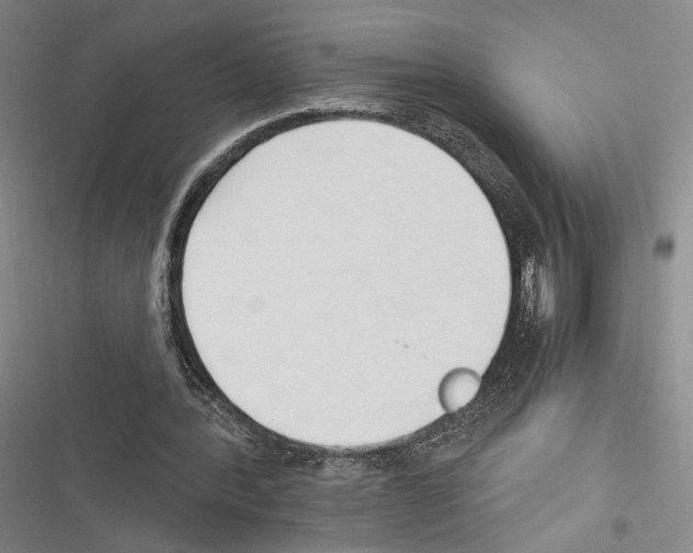 X0000116320388201001131008