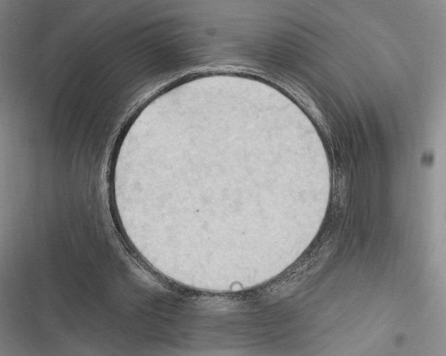 X0000116320389201001131008