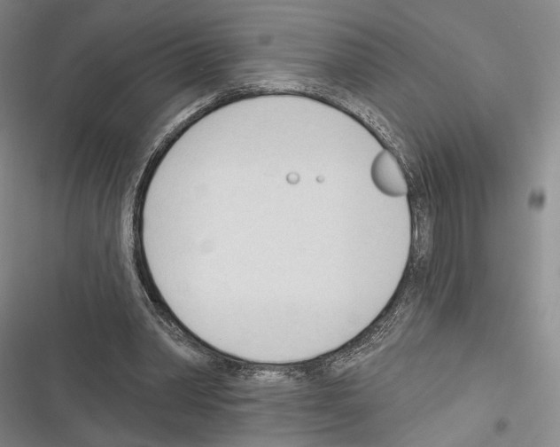 X0000116320390201001131008