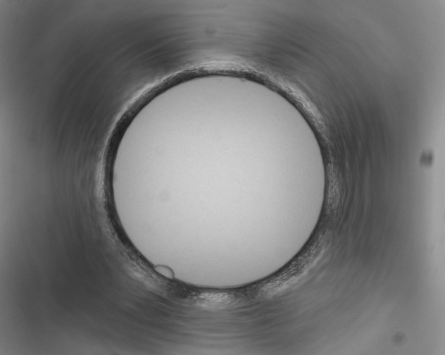 X0000116320391201001131008