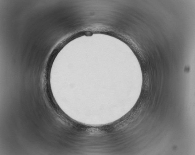 X0000116320392201001131008