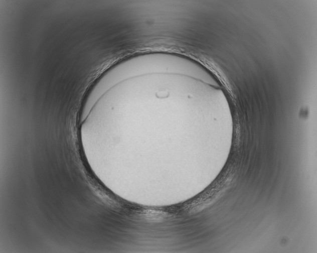 X0000116320393201001131008