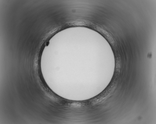 X0000116320394201001131008