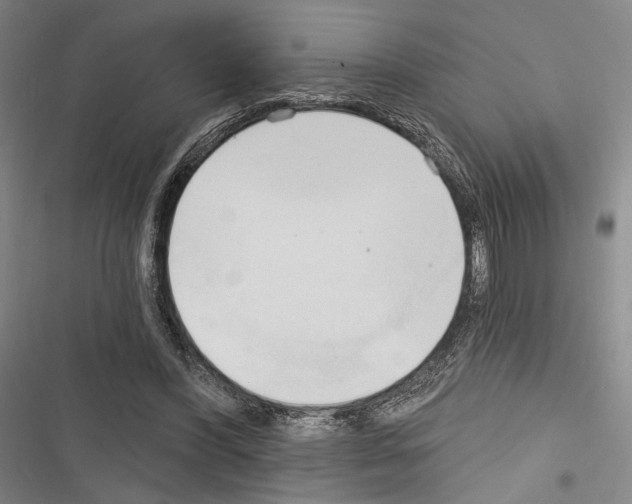 X0000116320396201001131008