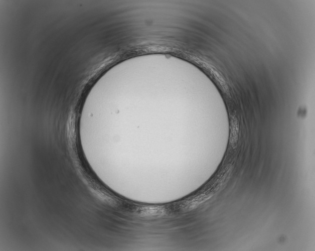 X0000116320398201001131008