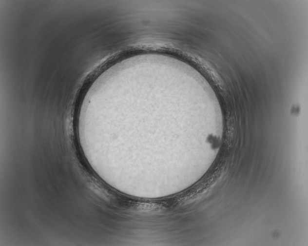 X0000116320399201001131008