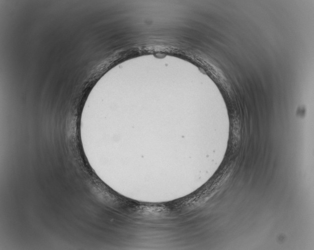 X0000116320401201001131008