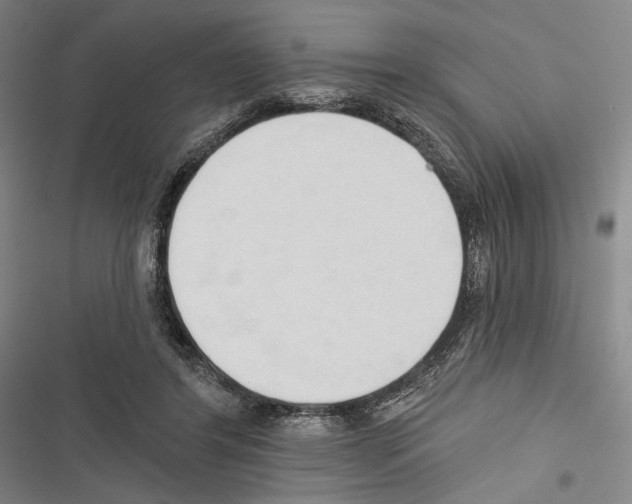 X0000116320404201001131008