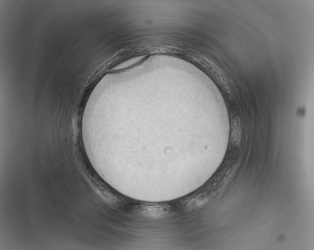 X0000116320405201001131008