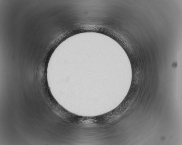 X0000116320407201001131007