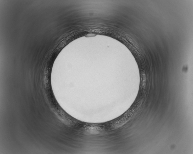 X0000116320408201001131007