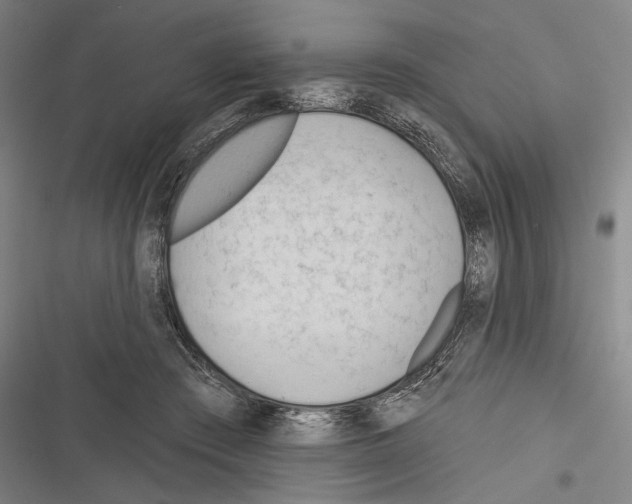 X0000116320409201001131007