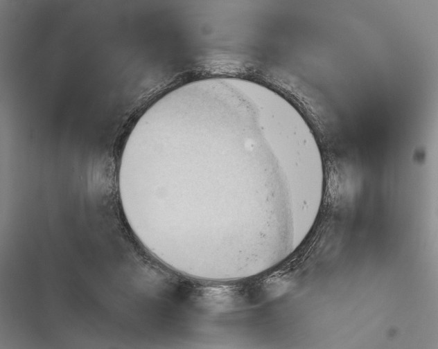 X0000116320411201001131007