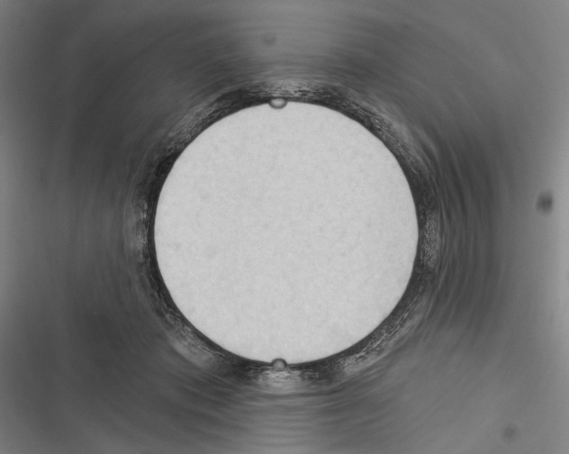 X0000116320413201001131007