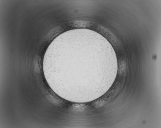 X0000116320414201001131007