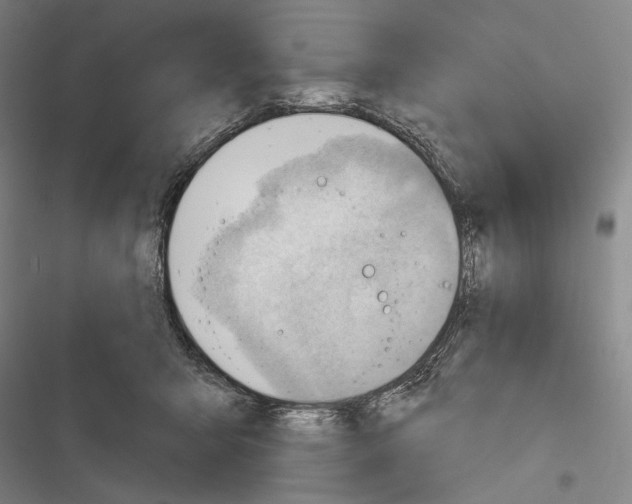 X0000116320415201001131007