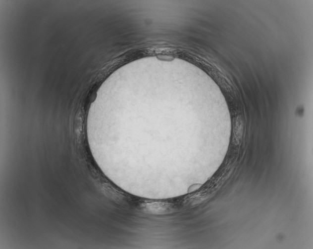 X0000116320417201001131007