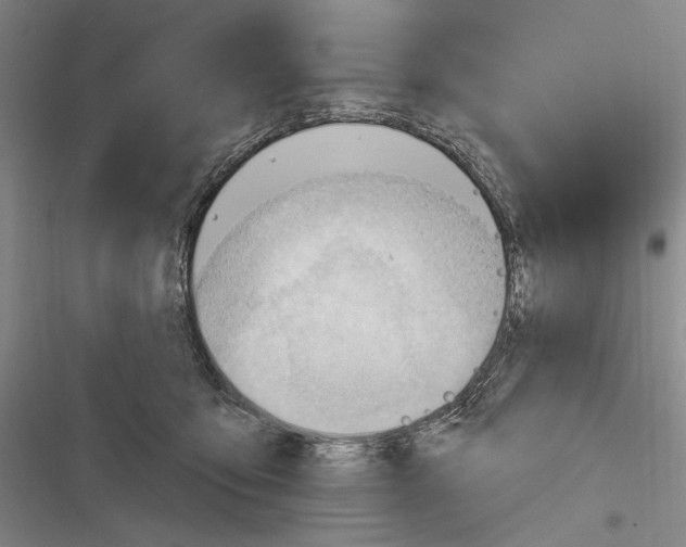 X0000116320419201001131007