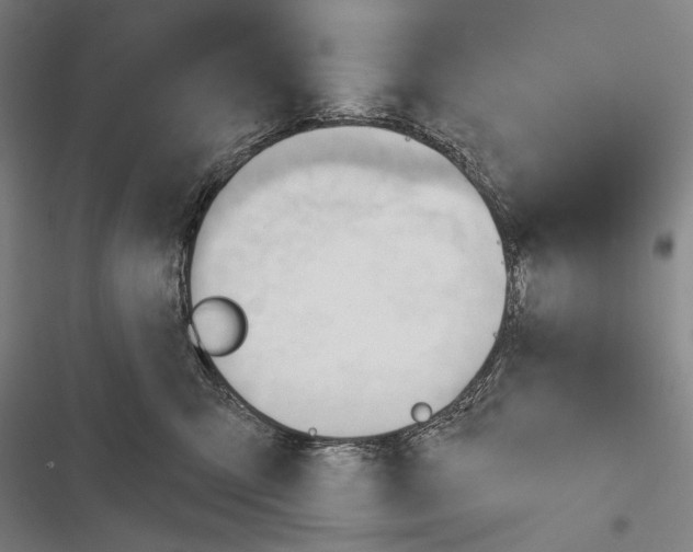 X0000116320423201001131007