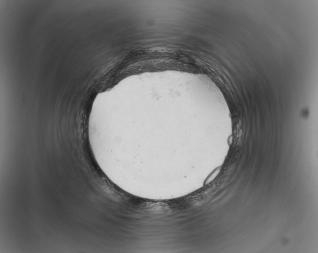 X0000116320424201001131007