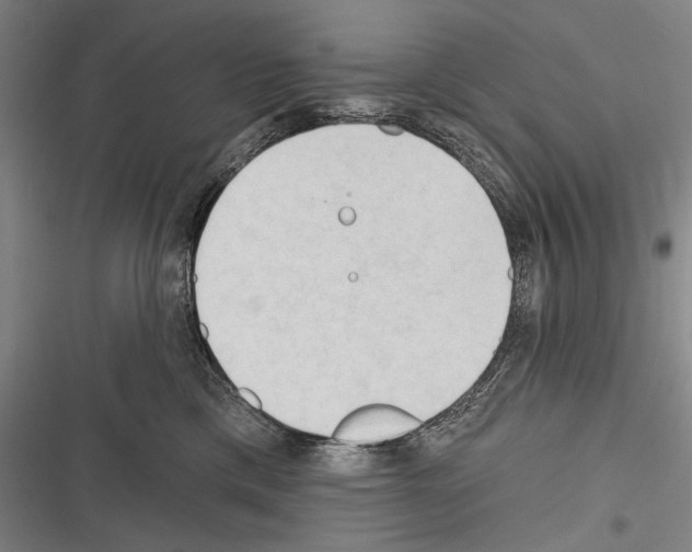 X0000116320425201001131007