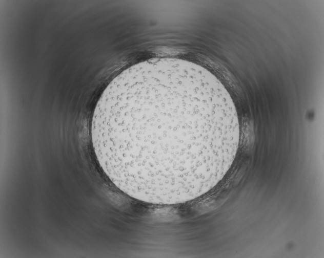 X0000116320426201001131007