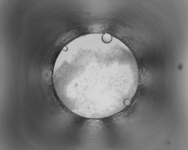 X0000116320427201001131007