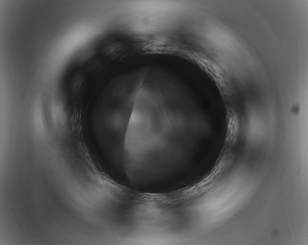 X0000116320429201001131007