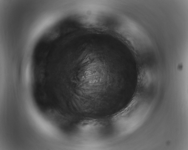 X0000116320430201001131007