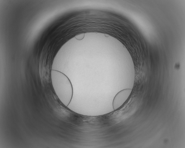 X0000116320431201001131007