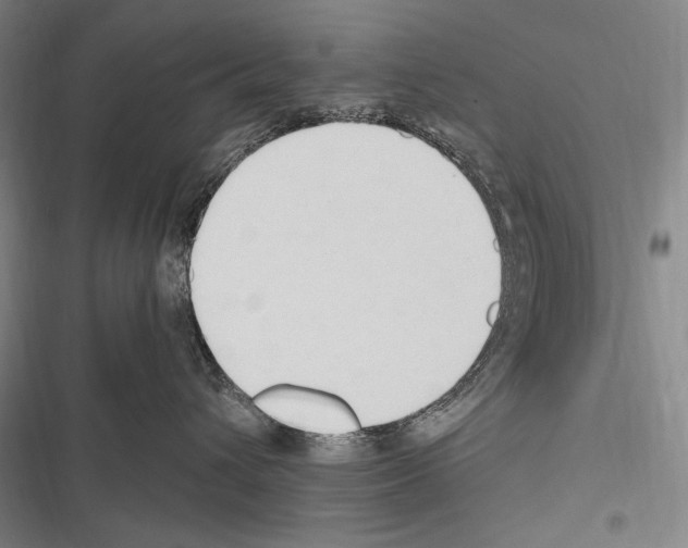 X0000116320432201001131007