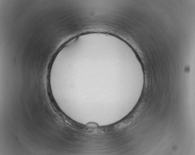 X0000116320434201001131007