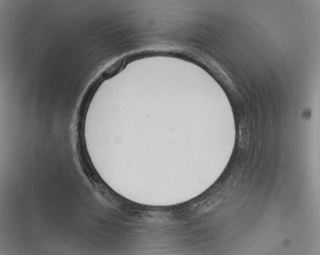 X0000116320436201001131007