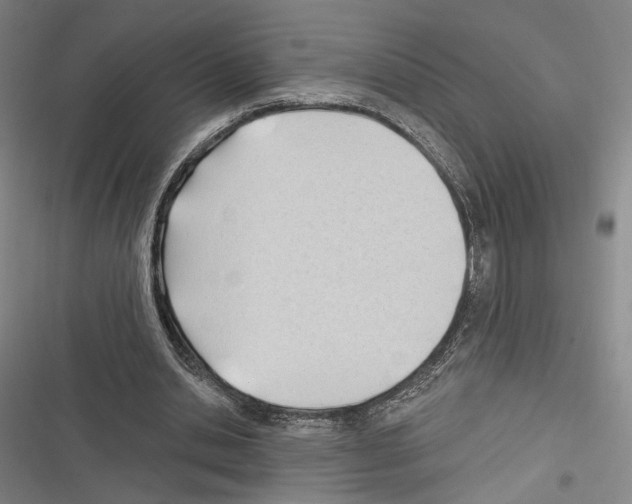 X0000116320438201001131007