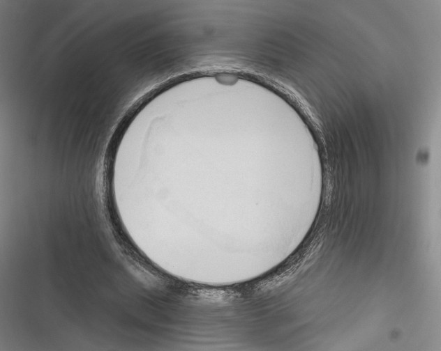 X0000116320439201001131007