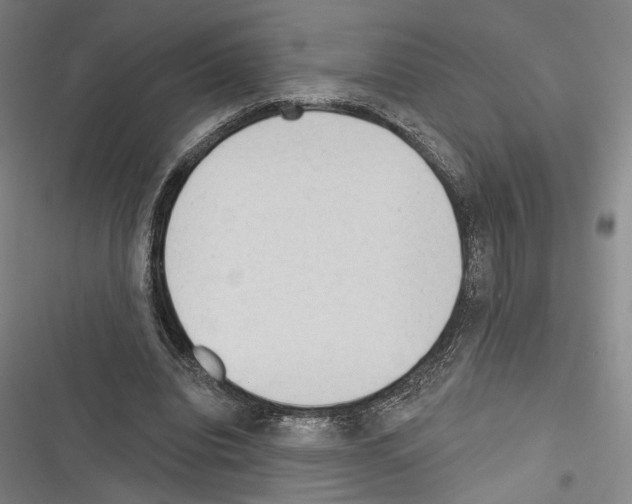 X0000116320440201001131007