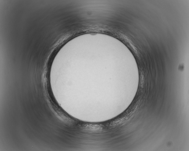 X0000116320443201001131007