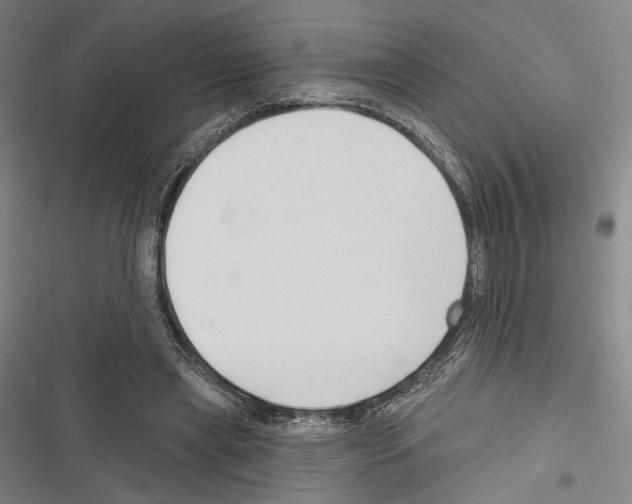 X0000116320445201001131007