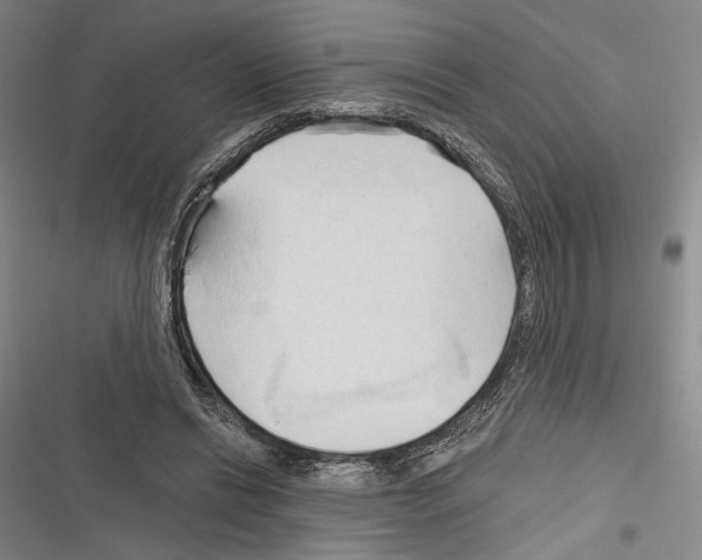 X0000116320446201001131007